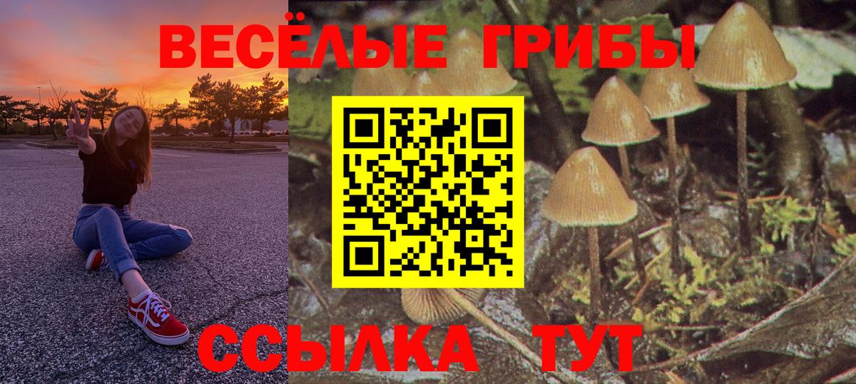 Псилоцибиновые грибы мицелий Октябрьский